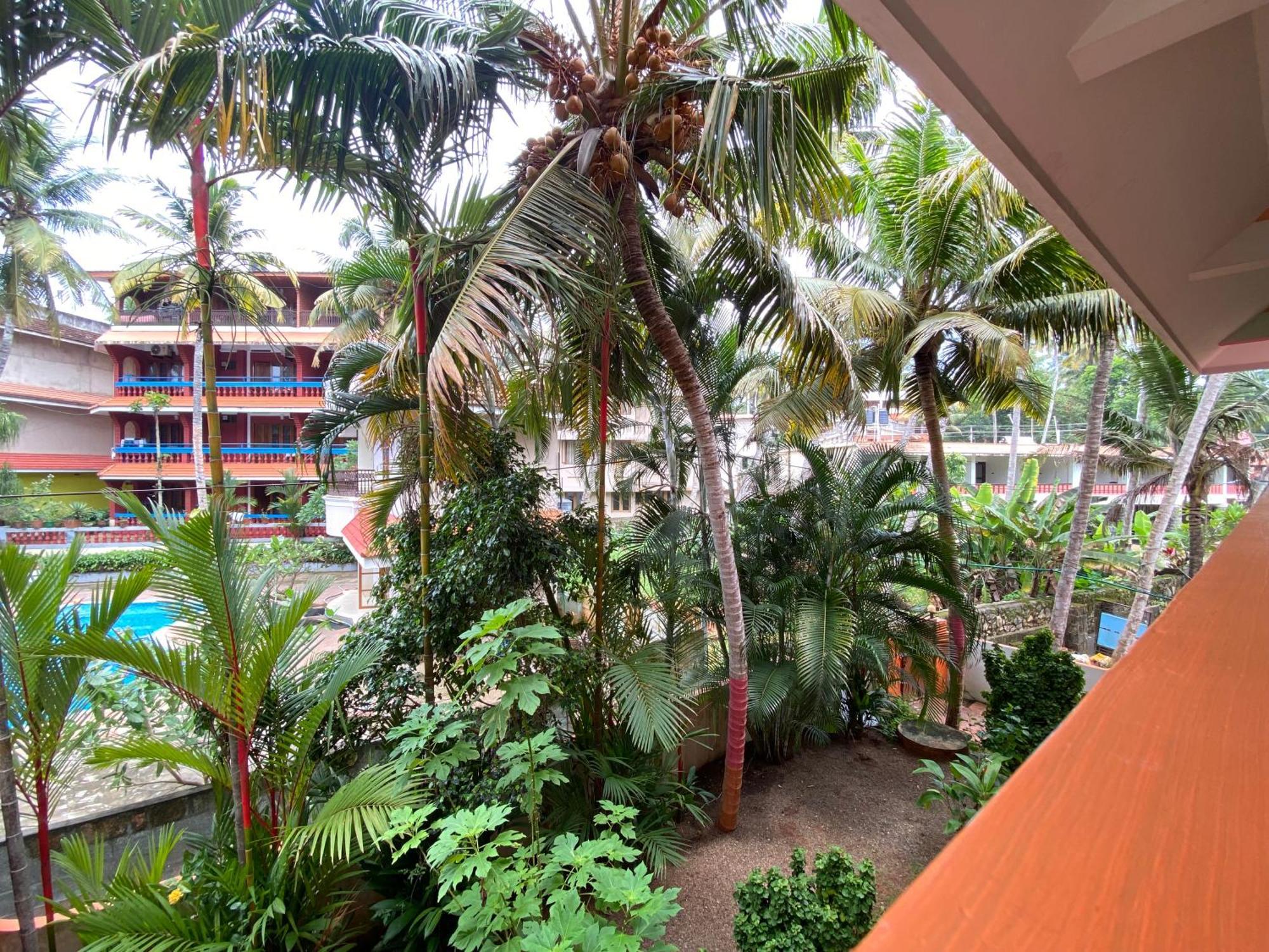 Packbag Comfort Bed & Breakfast Kovalam Kültér fotó